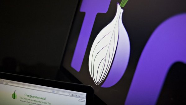 Полностью анонимный Tor Browser стал доступен для Android
